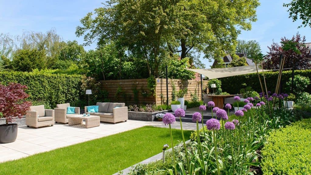 Dutch Quality Gardens Visio Vireo Contrastrijke Moderne Tuin Met Schaduwdoek In Steenbergen 4