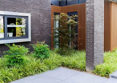 Dutch Quality Gardens Visio Vireo Bloementuin Bergen Op Zoom 3