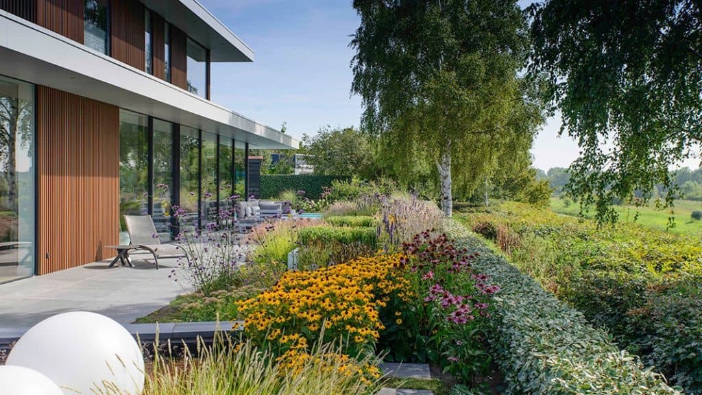 Dutch Quality Gardens Visio Vireo Bloementuin Bergen Op Zoom 3 A