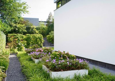 Dutch Quality Gardens Visio Vireo Bloementuin Bergen Op Zoom 4