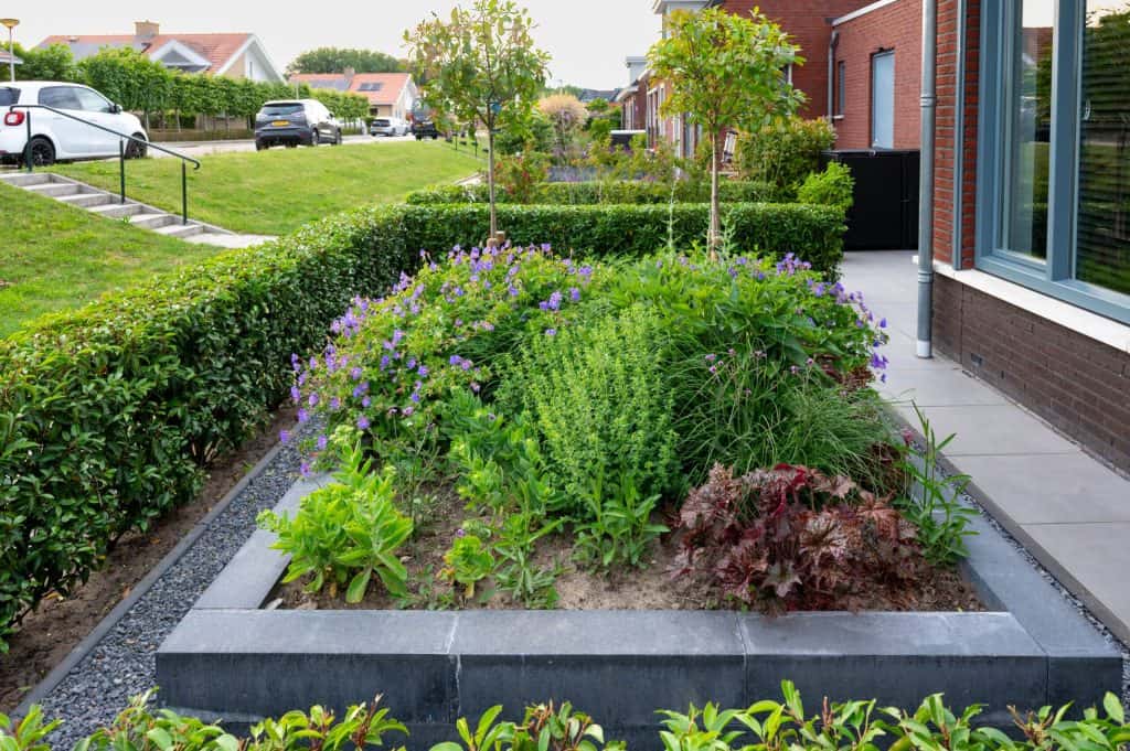 groene en onderhoudsvriendelijke voortuin (10)