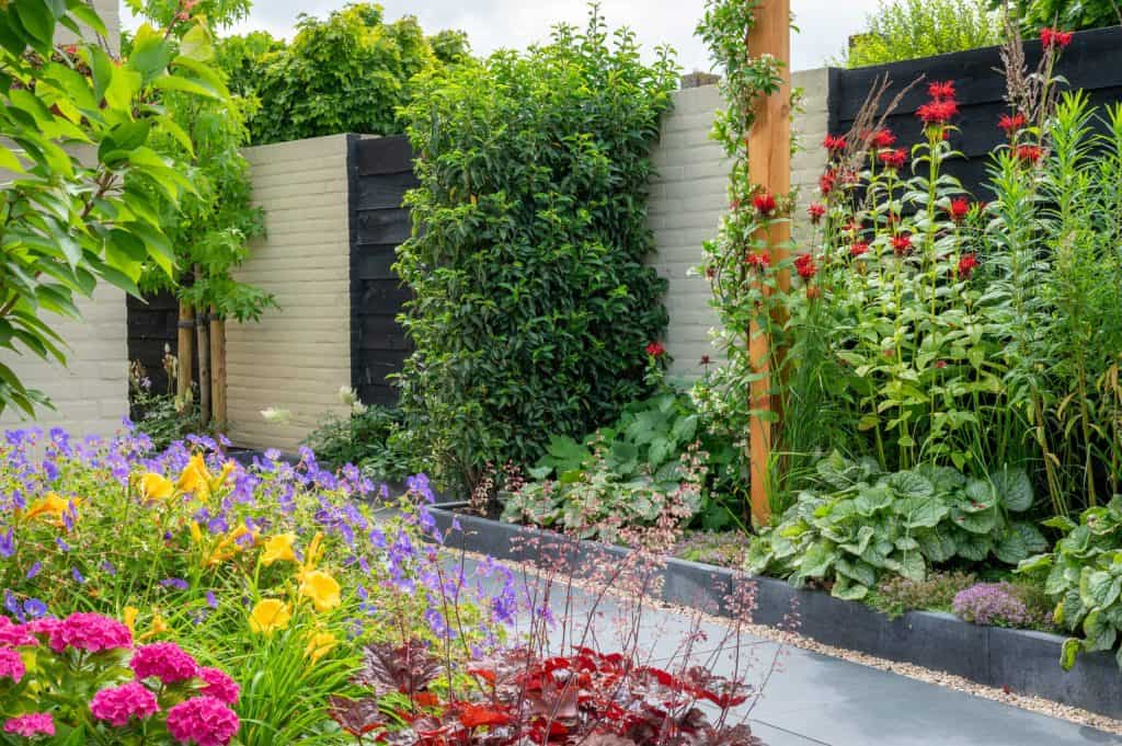 moderne landelijke bloementuin met kleurrijke borders (4)