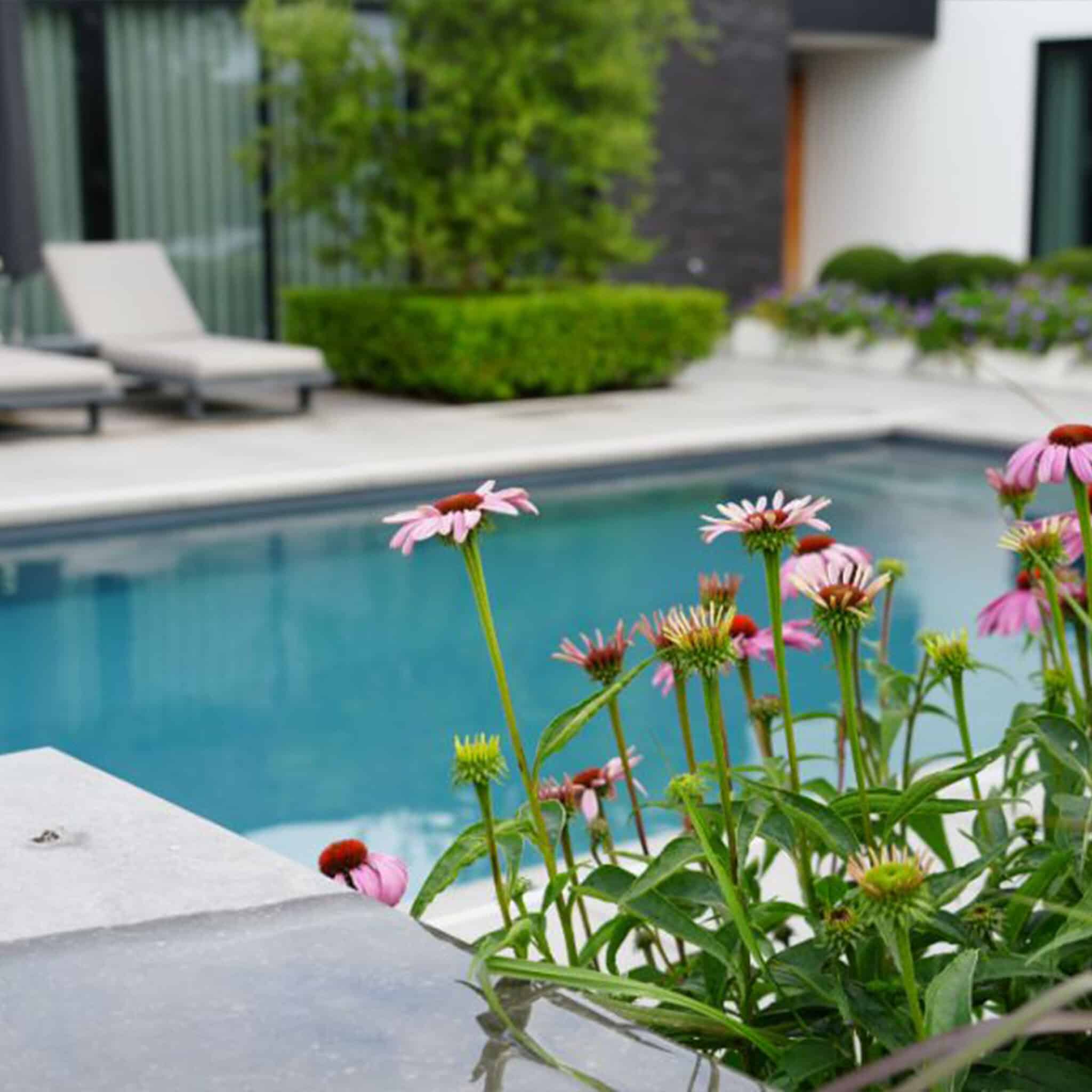 Tuinaanleg-Dutch-Quality-Gardens-1x1-01